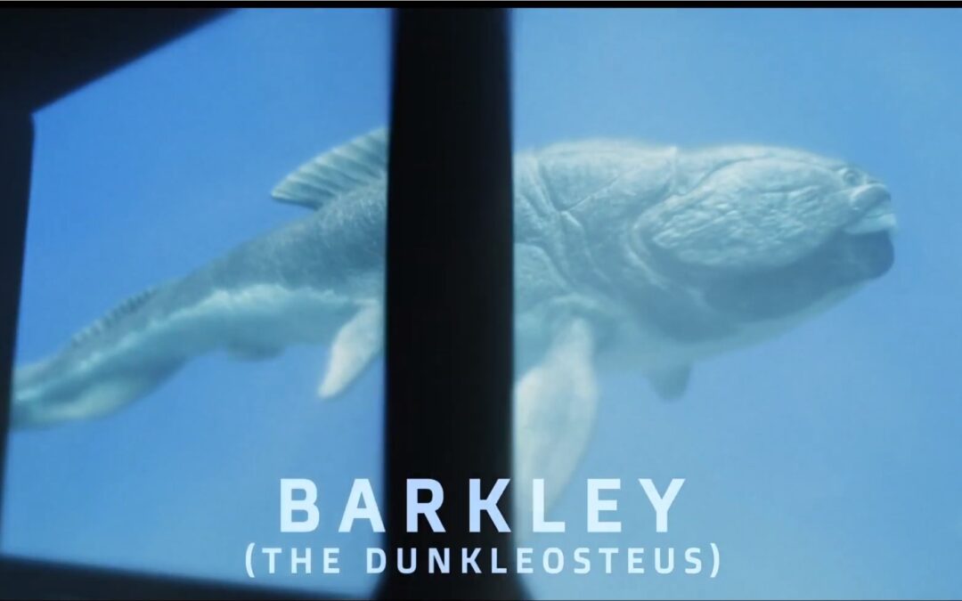 OUR NEW ADDITION | BARKLEY the DUNKLEOSTEUS